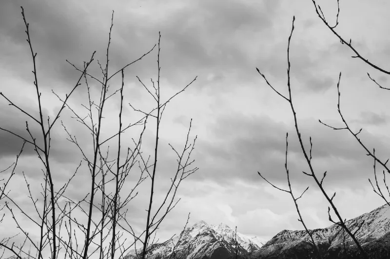 The media file [Concepts] is by CallahanFreet.