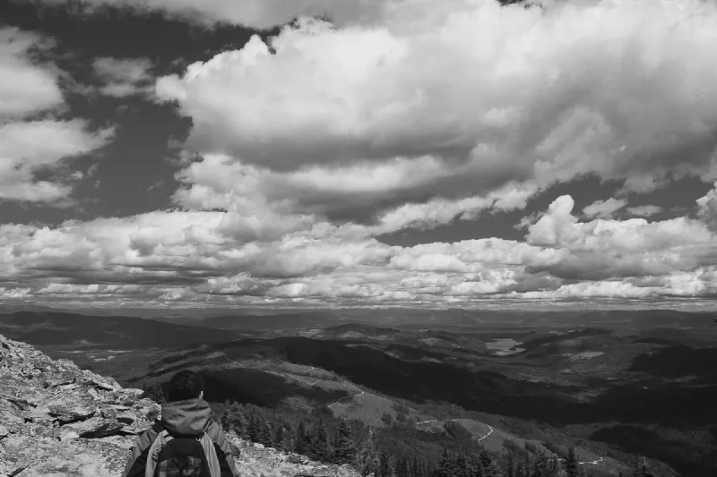 The media file [Self-Awareness] is by CallahanFreet.