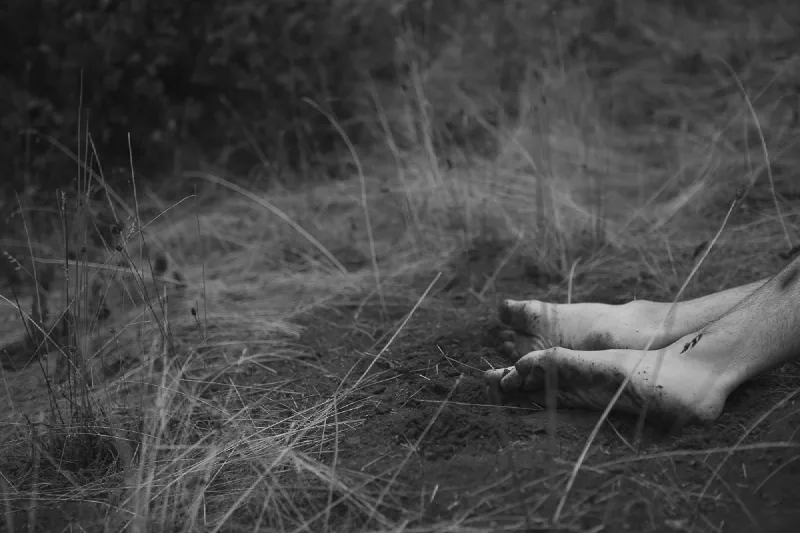 The media file [Independent Perception] is by CallahanFreet.