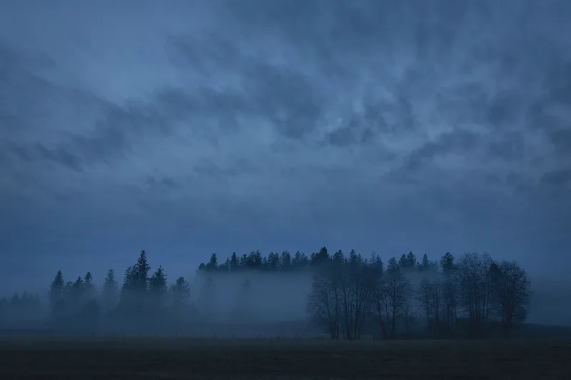 The media file [Lonely] is by CallahanFreet.