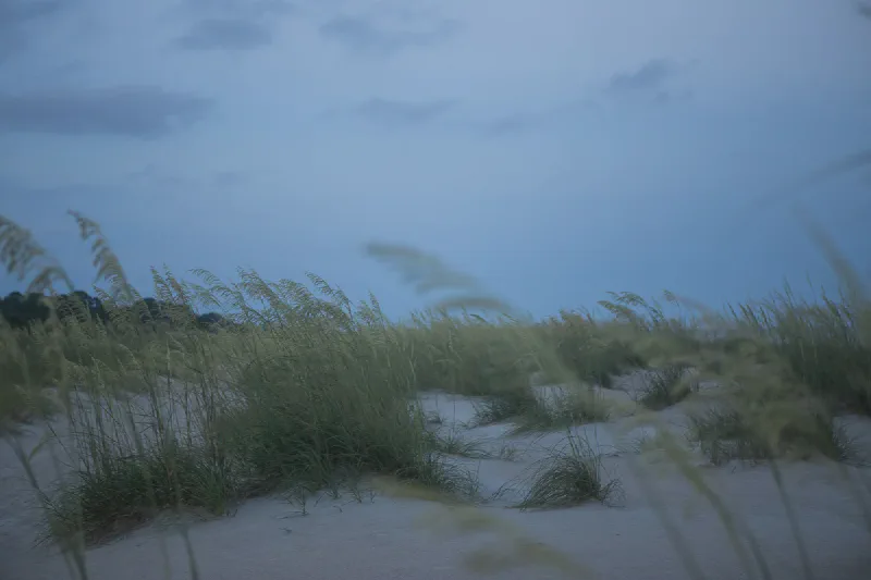 The media file [Circle] is by CallahanFreet.