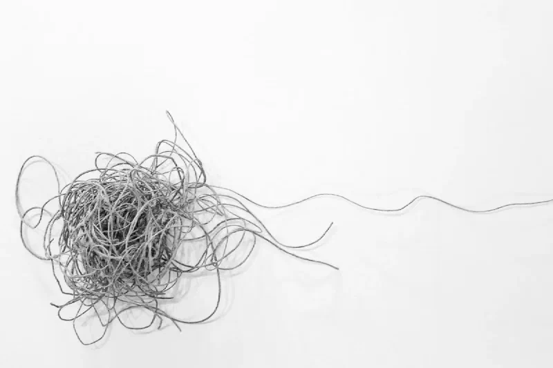 The media file [Personality] is by CallahanFreet.