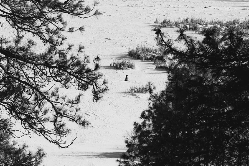 The media file [The Universe] is by CallahanFreet.