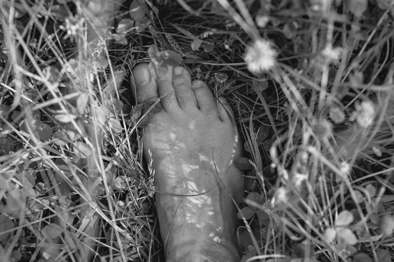 The media file [Dirt] is by CallahanFreet.