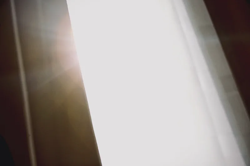 The media file [History Of Evolution] is by CallahanFreet.