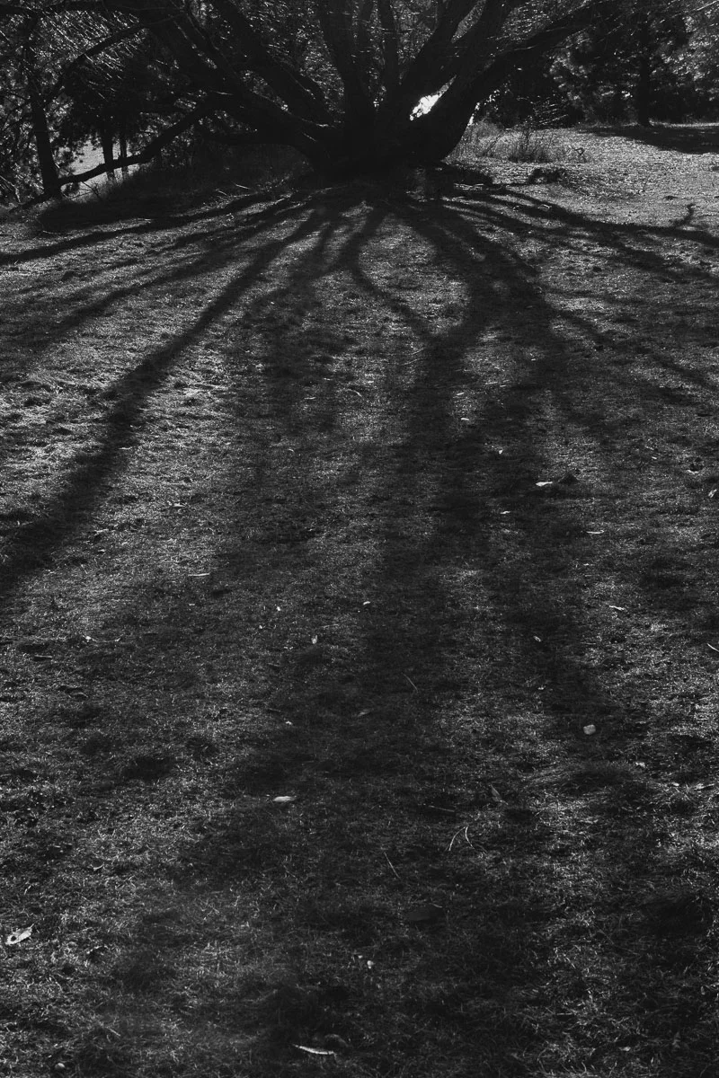 The media file [The One Who Speaks] is by CallahanFreet.