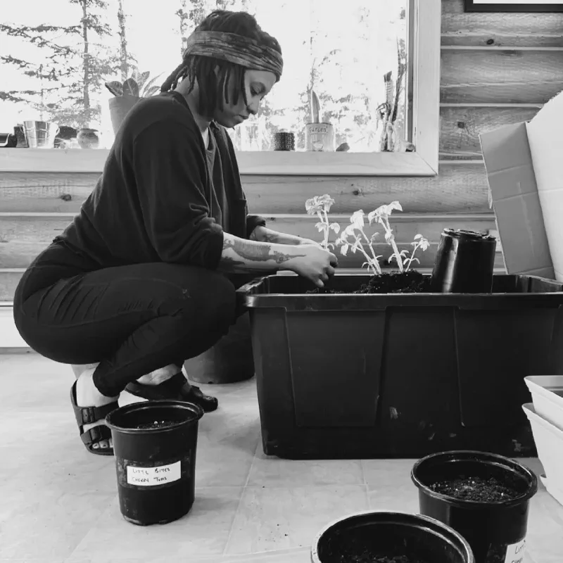 The media file [Sorrowless] is by CallahanFreet.