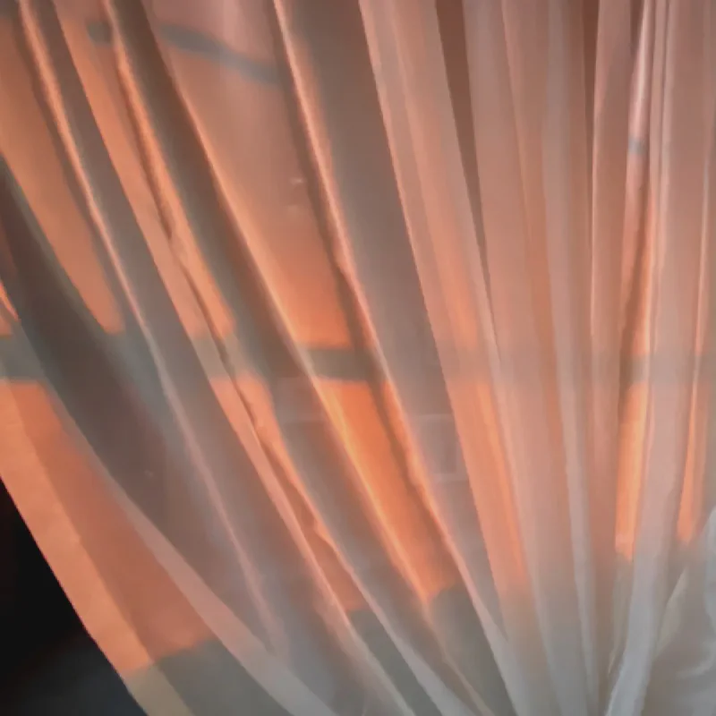 The media file [Have You Read?] is by CallahanFreet.