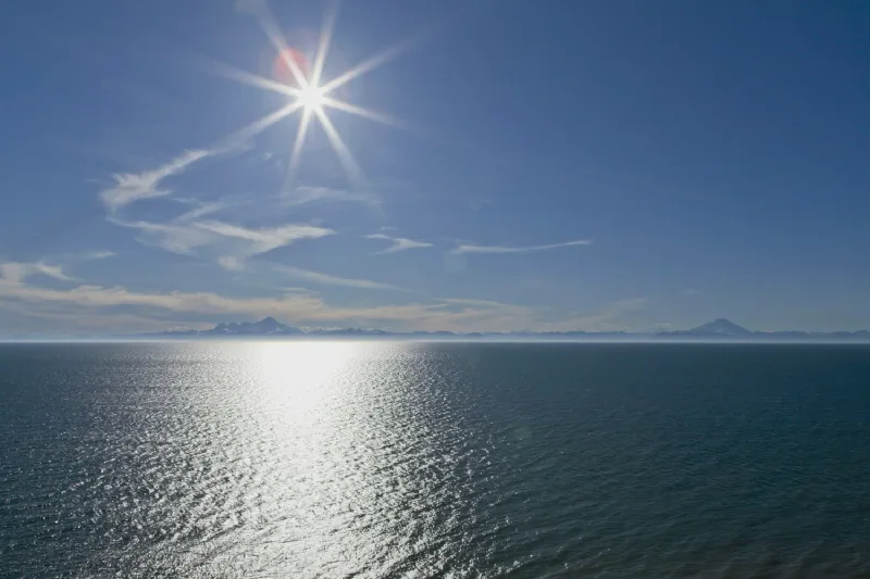 The media file [Rid of The News] is by CallahanFreet.