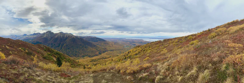 The media file [Elevation] is by CallahanFreet.