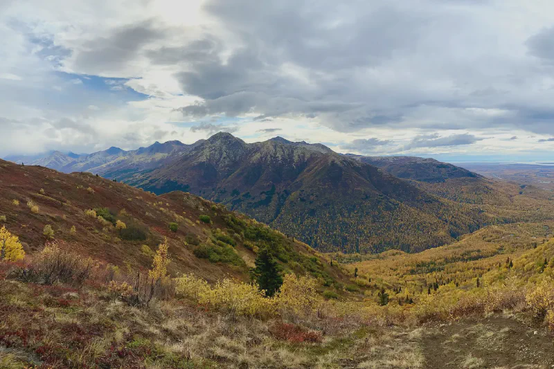 The media file [Elevation] is by CallahanFreet.