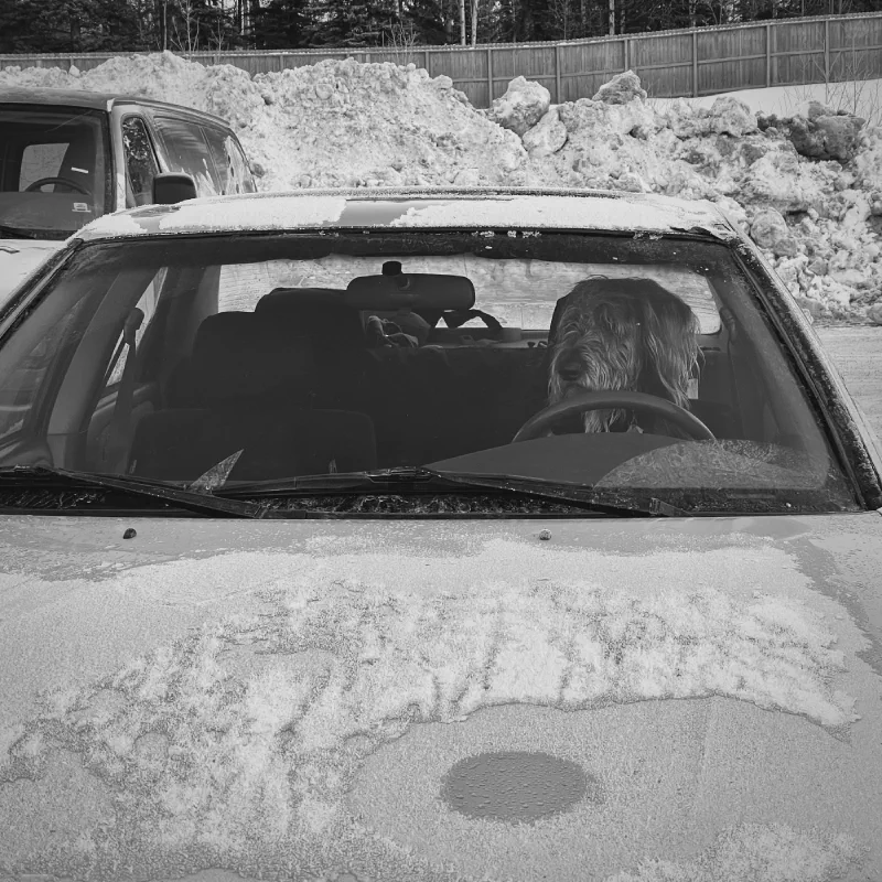 The media file [Traditions] is by CallahanFreet.