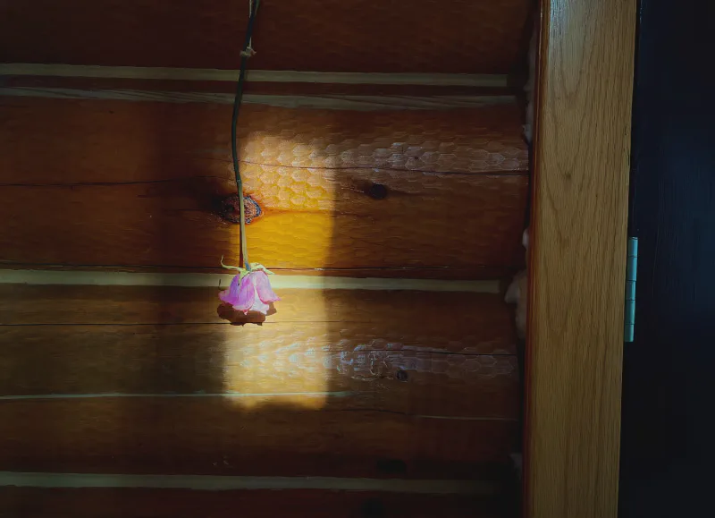 The media file [Coincidences] is by CallahanFreet.