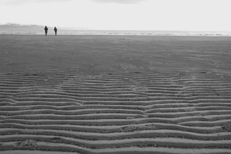 The media file [Home Life] is by CallahanFreet.