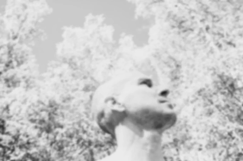 The media file [Devolution] is by CallahanFreet.