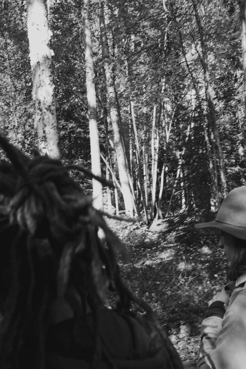 The media file [King of the Fall] is by CallahanFreet.