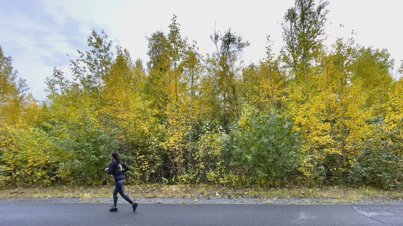 The media file [In The Vicinity] is by CallahanFreet.