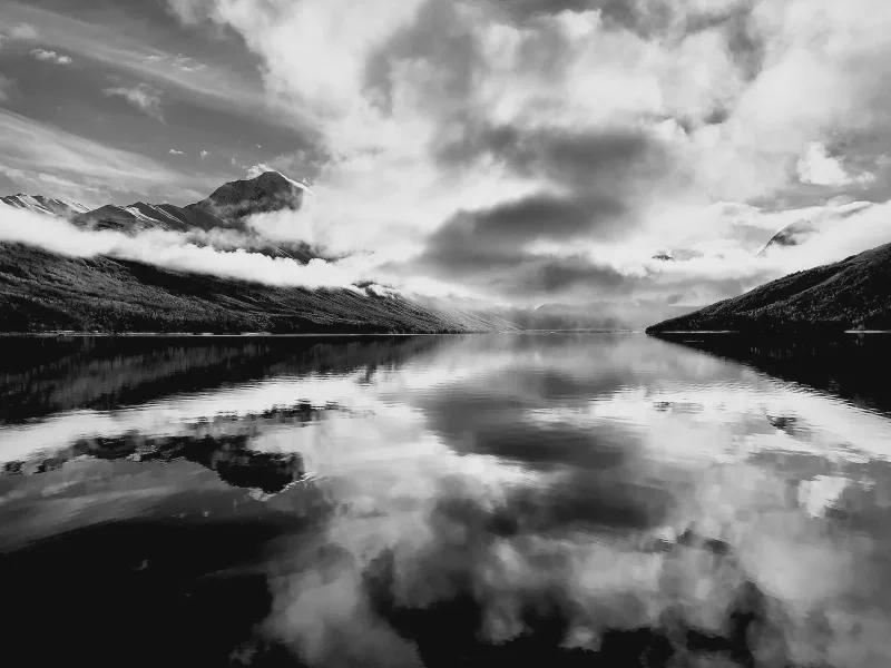 The media file [Just Living Life] is by CallahanFreet.