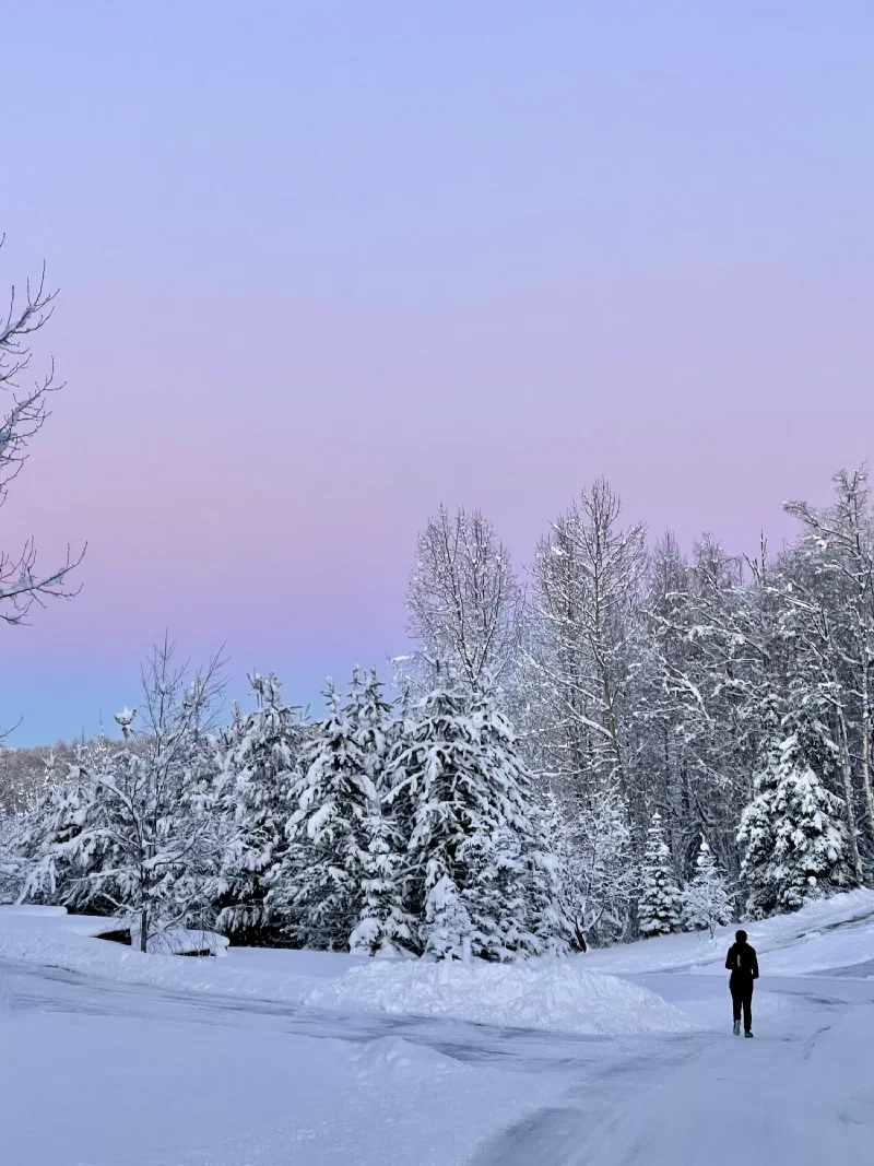 The media file [Being [In Alaska]] is by CallahanFreet.