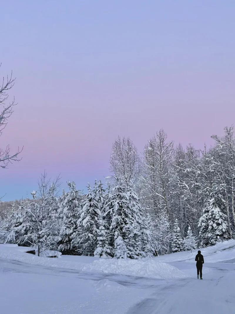 The media file [Being [In Alaska]] is by CallahanFreet.