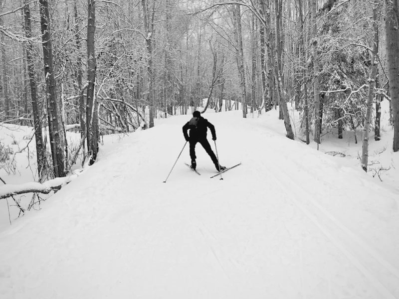 The media file [New Again, Again] is by CallahanFreet.