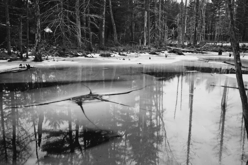 The media file [Holes in the Theory] is by CallahanFreet.