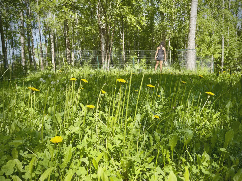 The media file [Just Plant Shit] is by CallahanFreet.