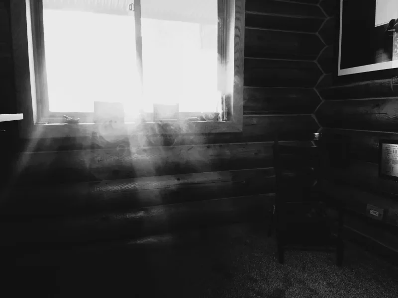 The media file [Life Goals] is by CallahanFreet.