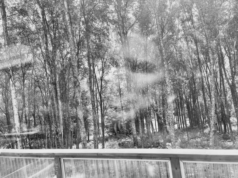 The media file [Re-consideration] is by CallahanFreet.