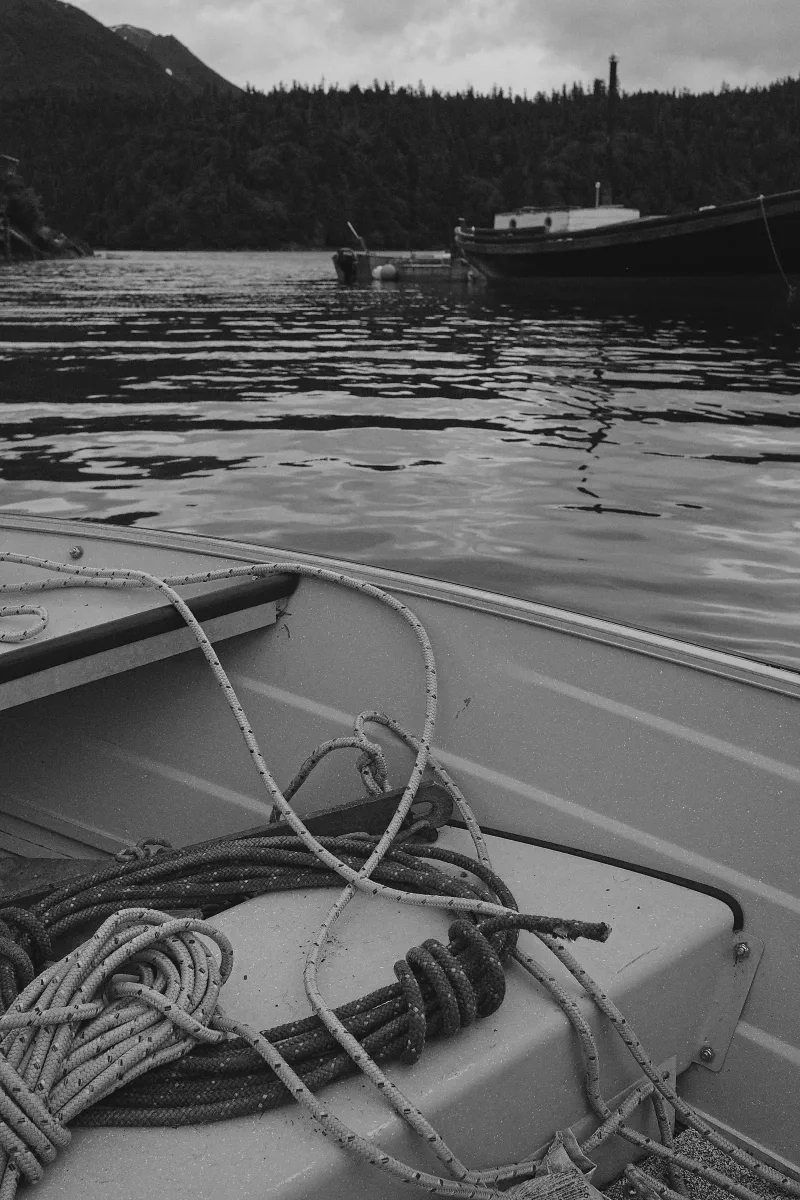 The media file [Imaginary Past] is by CallahanFreet.