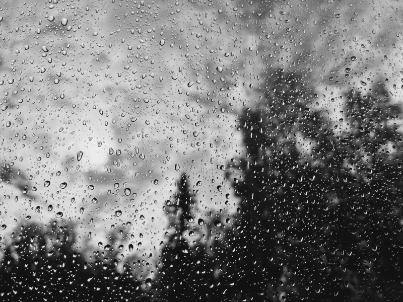 The media file [Just to See It] is by CallahanFreet.