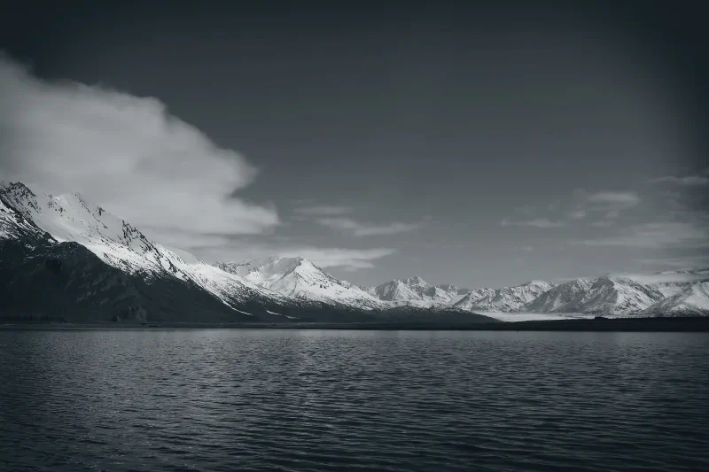 The media file [Living Space] is by CallahanFreet.