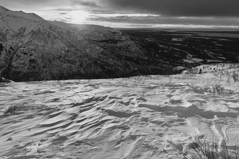 The media file [Constant Departing] is by CallahanFreet.