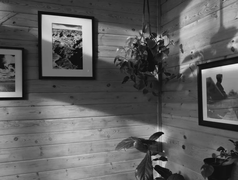 The media file [Plants] is by CallahanFreet.