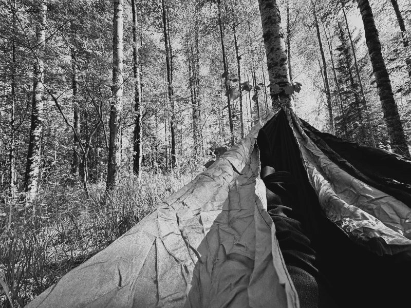 The media file [Hammock] is by CallahanFreet.