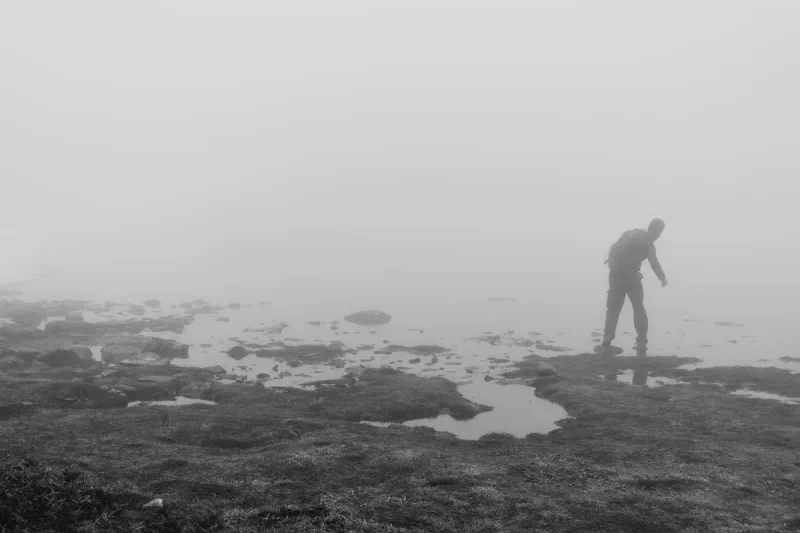 The media file [Throwing Rocks At Nothing] is by CallahanFreet.