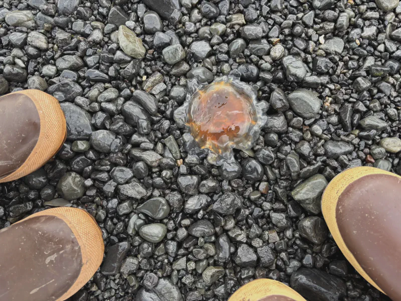 The media file [Grasping] is by CallahanFreet.