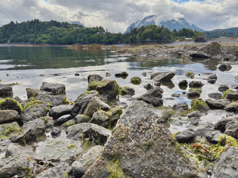 The media file [Grasping] is by CallahanFreet.