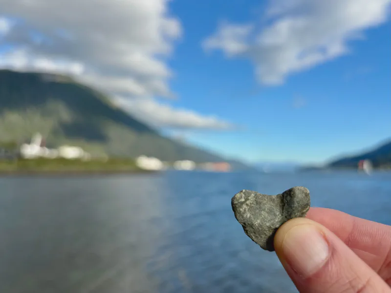 The media file [Rocks] is by CallahanFreet.