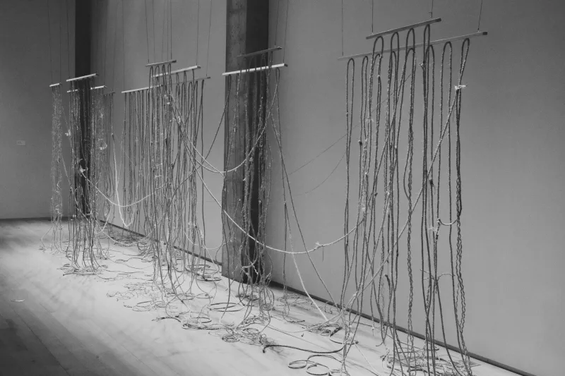 The media file [release.] is by CallahanFreet.