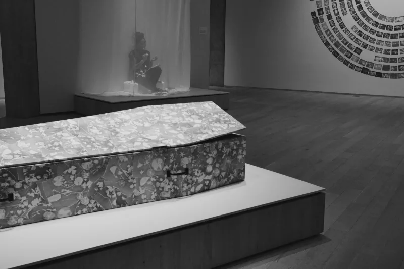 The media file [release.] is by CallahanFreet.